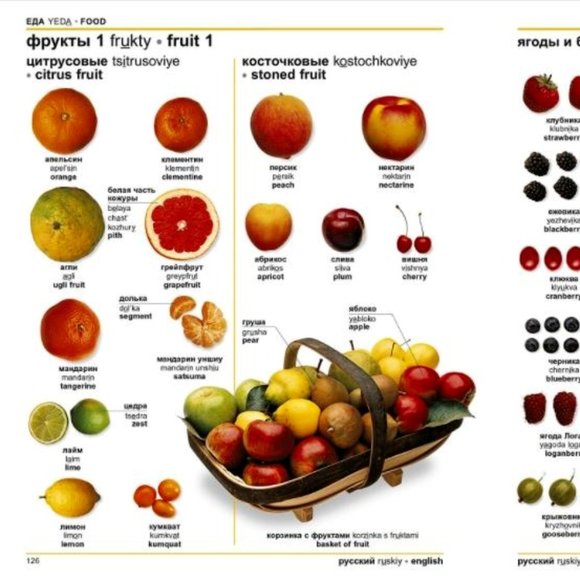 NWT DK Russian-English Bilingual Visual Dictionary Softcover - Picture 8 of 11